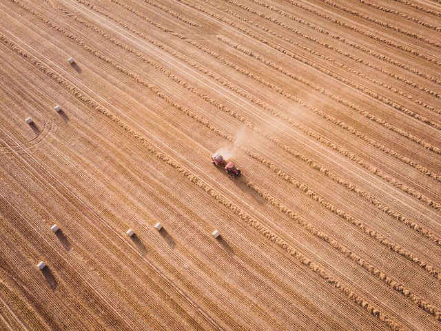 Tractor Cutting Field